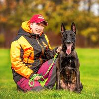 news_dogs