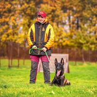 news_dogs