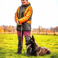 news_dogs