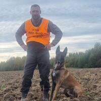 news_dogs
