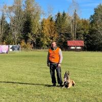 news_dogs